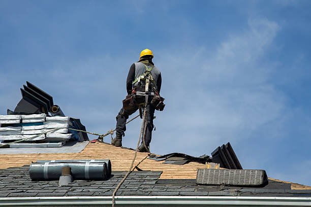 Professional Gutter Installation technician working in Earleton, FL